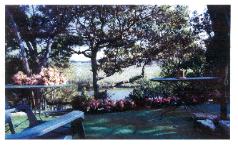 Outdoor Patio, Cedars on the Brazos B & B