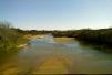 Looking North from the Old Brazos Bridge, Somerell County, Texas