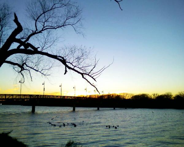 Birds at Sunset, White Rock Lake, Dallas, Texas